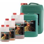 Canna zym 5 l – Zboží Dáma Canna zym 5 l – Zboží Dáma