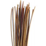 Quill&Fly Odrané paví paprsky Stripped Peacock Quills přírodní 25 ks – Zboží Dáma