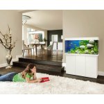Juwel Rio LED 180 akvarijní set bílý 101 x 41 x 50 cm 180 l – Zboží Dáma