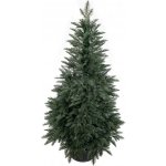zanapo.cz Umělý stromek Smrk California 100% 3D v květináči 80 cm – Sleviste.cz