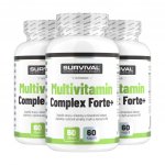 Survival Multivitamin Fair Power 60 kapslí – Hledejceny.cz