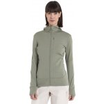 Icebreaker Wmns Merino 260 Quantum IV LS Zip Hoodie Lichen – Zboží Mobilmania