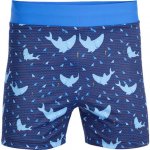 Litex chlapecké plavkové boxerky 6F405 – Zboží Dáma