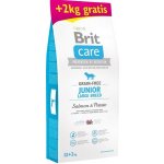 Brit Care Grain Free Junior Large Breed Salmon & Potato 14 kg – Hledejceny.cz