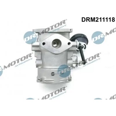 Dr.Motor Automotive AGR ventil DMA DRM211118 | Zboží Auto