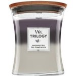WoodWick Trilogy Amethyst Sky 275 g – Zboží Mobilmania