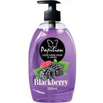 Papilion Ostružiny mýdlo na ruce 500 ml – Hledejceny.cz