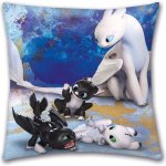 Halantex Polštář Jak vycvičit draka 0055 40x40 – Sleviste.cz