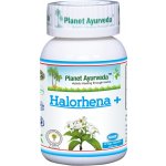 Planet Ayurveda Kutaj Halorhena + 60 kapslí – Hledejceny.cz