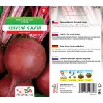 Řepa salátová Červená kulatá Osiva Moravia 4 g – Zboží Mobilmania