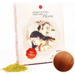 ndian Natural Hair Care Henna měděná 200 mg – Zboží Mobilmania