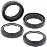 ALL BALLS sada olejových a prachových těsnění HONDA XR200R 84-02, YAMAHA XT500 80-81, KAWASAKI KLR250 85-05 (36X48X11) – Hledejceny.cz