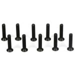 Team Losi Racing Šroub ocel zapuštěná hlava M3x16 mm 10 – Hledejceny.cz