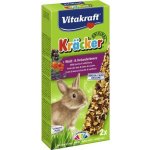 Vitakraft Kräcker cereální Tyčinka s lesním ovocem a bezinkou králík 2 ks 112 g – Hledejceny.cz