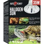 Repti Planet Halogen Sun 35 W – Sleviste.cz