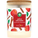 Air Wick Essentials Oils Apple Orchard & Ceylon Cinnamon 185 g