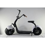 EcoWheel GR1 1000W 12Ah Bílá – Sleviste.cz