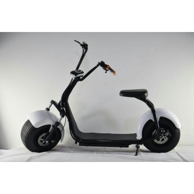 EcoWheel GR1 1000W 12Ah Bílá – Sleviste.cz