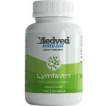 Medveď natural LymfaVen 60 kapslí – Hledejceny.cz