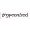 Příslušenství autokosmetiky Gyeon #gyeonized Sticker Silver 17,9 x 100 mm