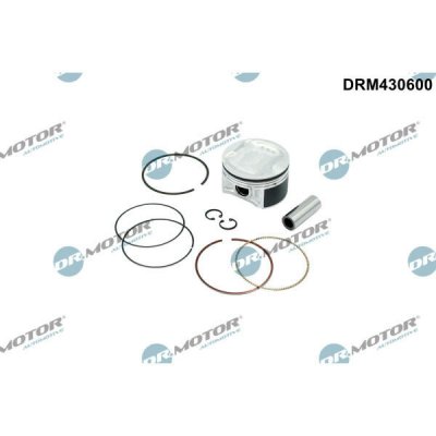 Dr.Motor Automotive DRM430600 – Hledejceny.cz