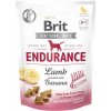Pamlsek pro psa Brit snack Endurance lamb & banana 150 g