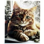 Norimpex diamantové malování 30 x 40 cm Kočka v okně se sněhovými vločkami – Sleviste.cz