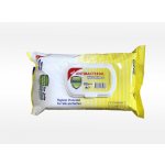 Fresh Detox Ubrousky antibakteriální 80 ks - žluté – Hledejceny.cz