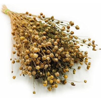 mech-mech.cz Sušený Len (Linum) - Přírodní – Zboží Dáma