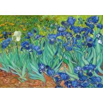 Grafika Vincent Van Gogh Iris 1000 dílků – Zboží Mobilmania