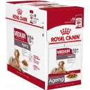 Royal Canin Medium Ageing 10 x 140 g