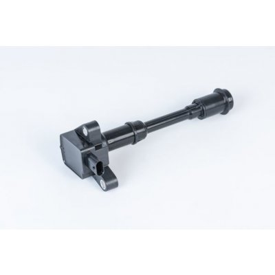 Zapalovací cívka BorgWarner (BERU) ZSE203 – Hledejceny.cz
