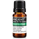 Ancient Borovice Lesní Sosna Esenciální Olej 10 ml – Hledejceny.cz