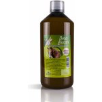 Panda Plus Betaglukan sirup 1000 ml – Zboží Dáma