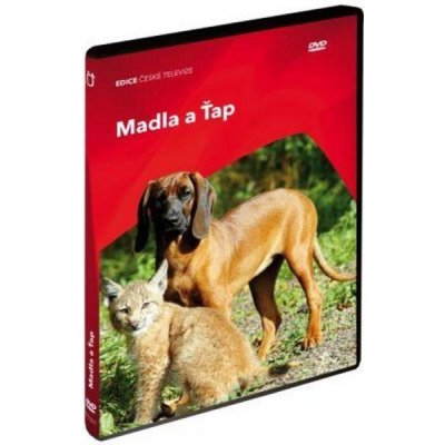 Chaloupek václav: madla a ťap DVD – Hledejceny.cz