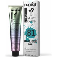 Sensus Direct Bang Přímý Pigment TURQUOISE 100 ml