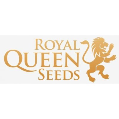 Royal Queen Seeds Special Queen 1 0 % THC 3 ks – Sleviste.cz