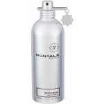 Montale White Musk parfémovaná voda unisex 100 ml – Hledejceny.cz