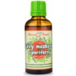 Bylinné kapky Cévy mozkové a periferní bylinné kapky tinktura 50 ml – Hledejceny.cz