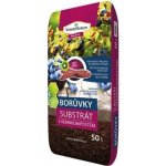 NohelGarden Substrát RAŠELINA PREMIUM s vermikompostem pro borůvky 50 l – Hledejceny.cz
