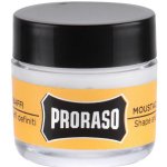 Proraso Moustache Wax vosk na vousy Wood & Spice 15 ml – Zboží Dáma