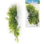 Unionstar Filodendron L 40 cm – Sleviste.cz