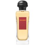 Hermès Rocabar toaletní voda pánská 100 ml tester – Hledejceny.cz