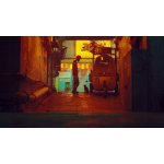 Stray – Zboží Dáma