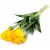 Květina Prima-obchod Umělá kytice tulipán, barva 2 žlutá