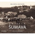 Zmizelá Šumava - Emil Kintzl, Jan Fischer – Zboží Dáma