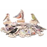 Lesní svět Poznej ptáky – Zboží Dáma