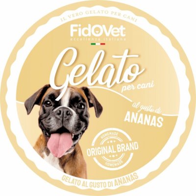 FIDOVET BOX Ananasová zmrzlina /12 ks 40 g – Zbozi.Blesk.cz