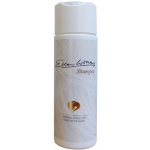 Ellen Wille Hair Power Shampoo na paruky 200 ml – Hledejceny.cz