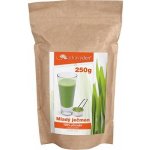 Zdravý den Mladý ječmen 250 g – Hledejceny.cz